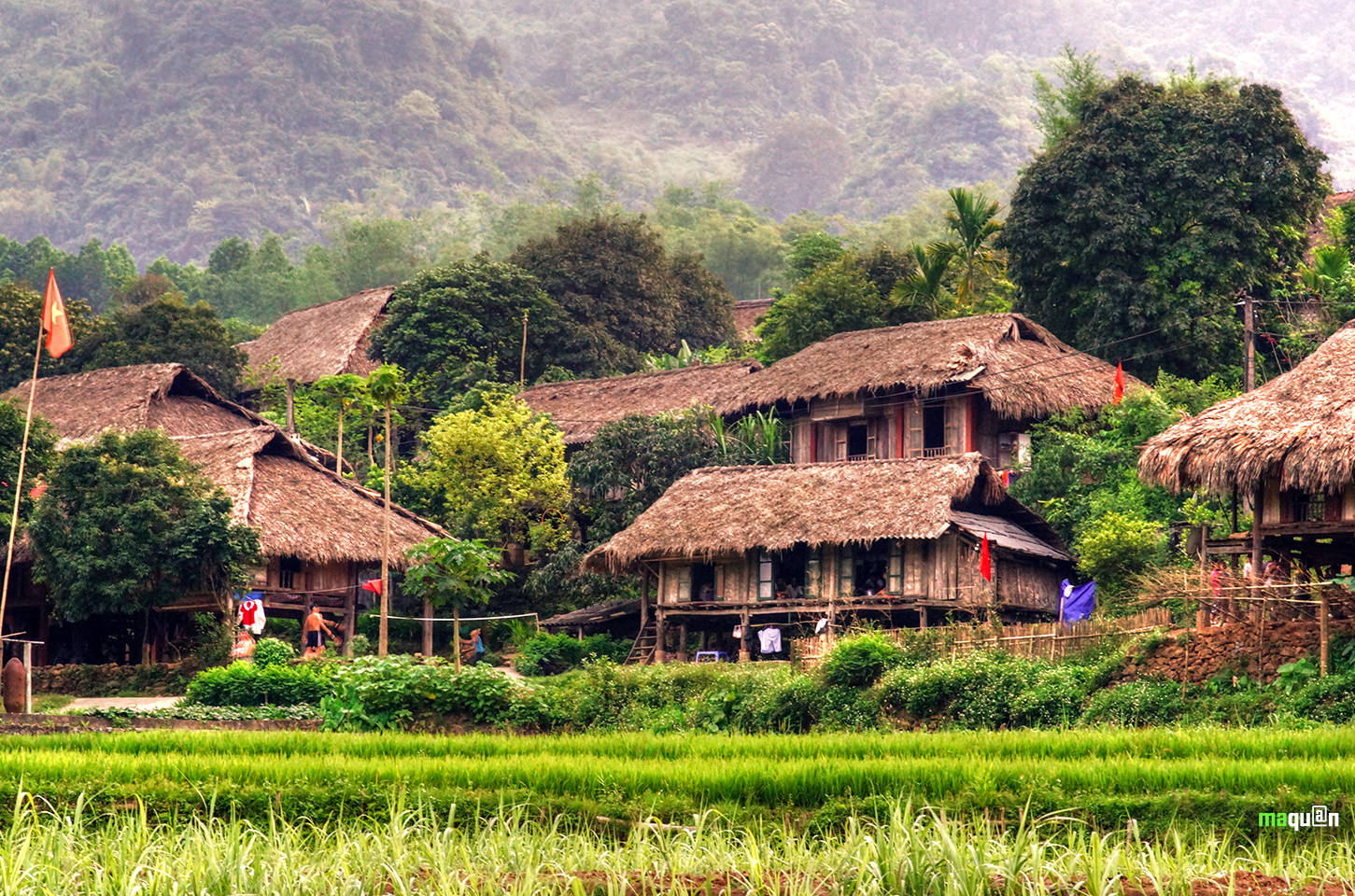 Nhung-hoat-dong-nhat-dinh-phai-thu-khi-den-thung-nai-vao-mua-xuan-wetrek.vn