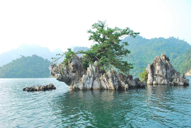 Nhung-hoat-dong-nhat-dinh-phai-thu-khi-den-thung-nai-vao-mua-xuan-wetrek.vn