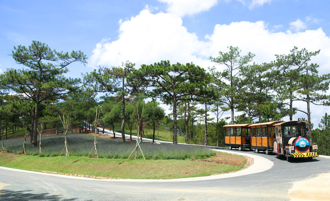 Vuon-hoa-oai-huong-tim-biec-giua-trung-tam-da-lat-wetrek.vn