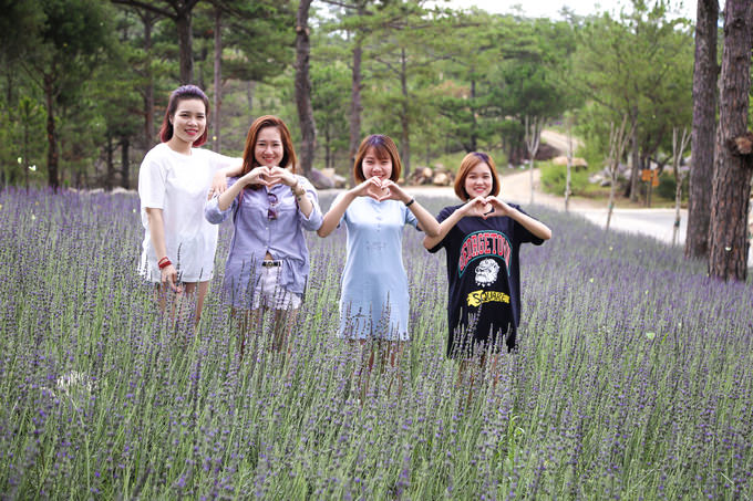 Vuon-hoa-oai-huong-tim-biec-giua-trung-tam-da-lat-wetrek.vn