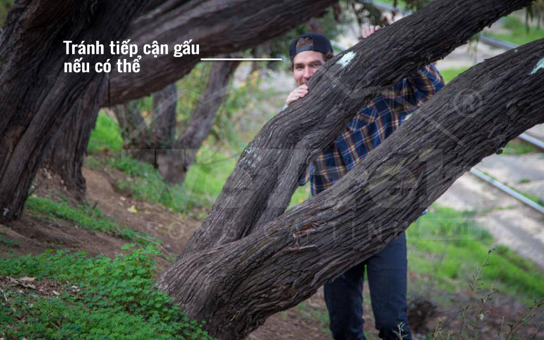 cach-tu-ve-khi-gap-gau-wetrek.vn