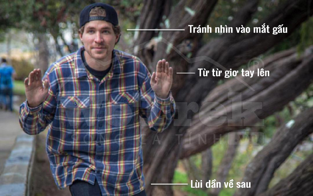 cach-tu-ve-khi-gap-gau-wetrek.vn