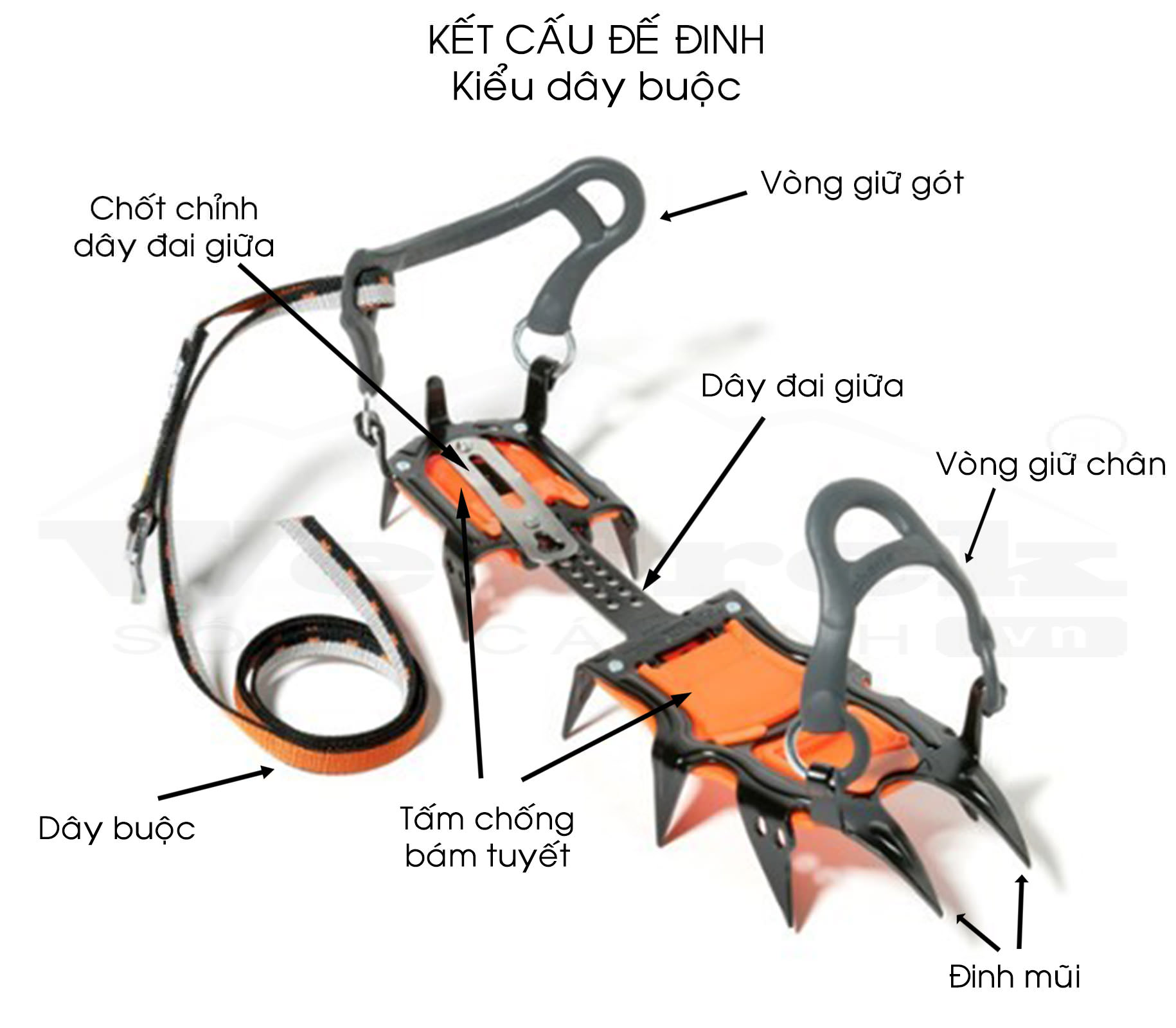 huong-dan-chon-de-dinh-leo-nui-wetrek.vn