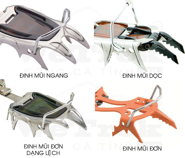 uong-dan-chon-de-dinh-leo-nui-wetrek.vn