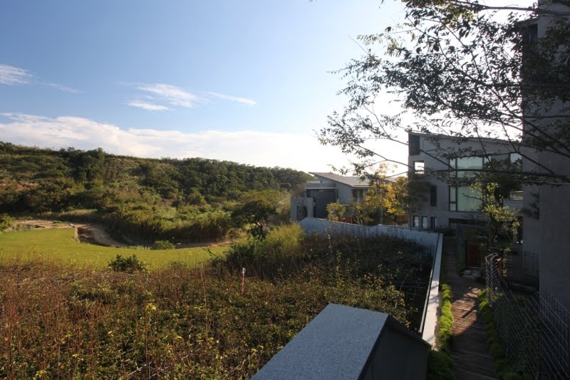 24-gia-dinh-gop-tien-mua-manh-dat-8000-m-vuong-de-tao-nen-ngoi-lang-xanh-mat-gan-gui-voi-thien-nhien-wetrek