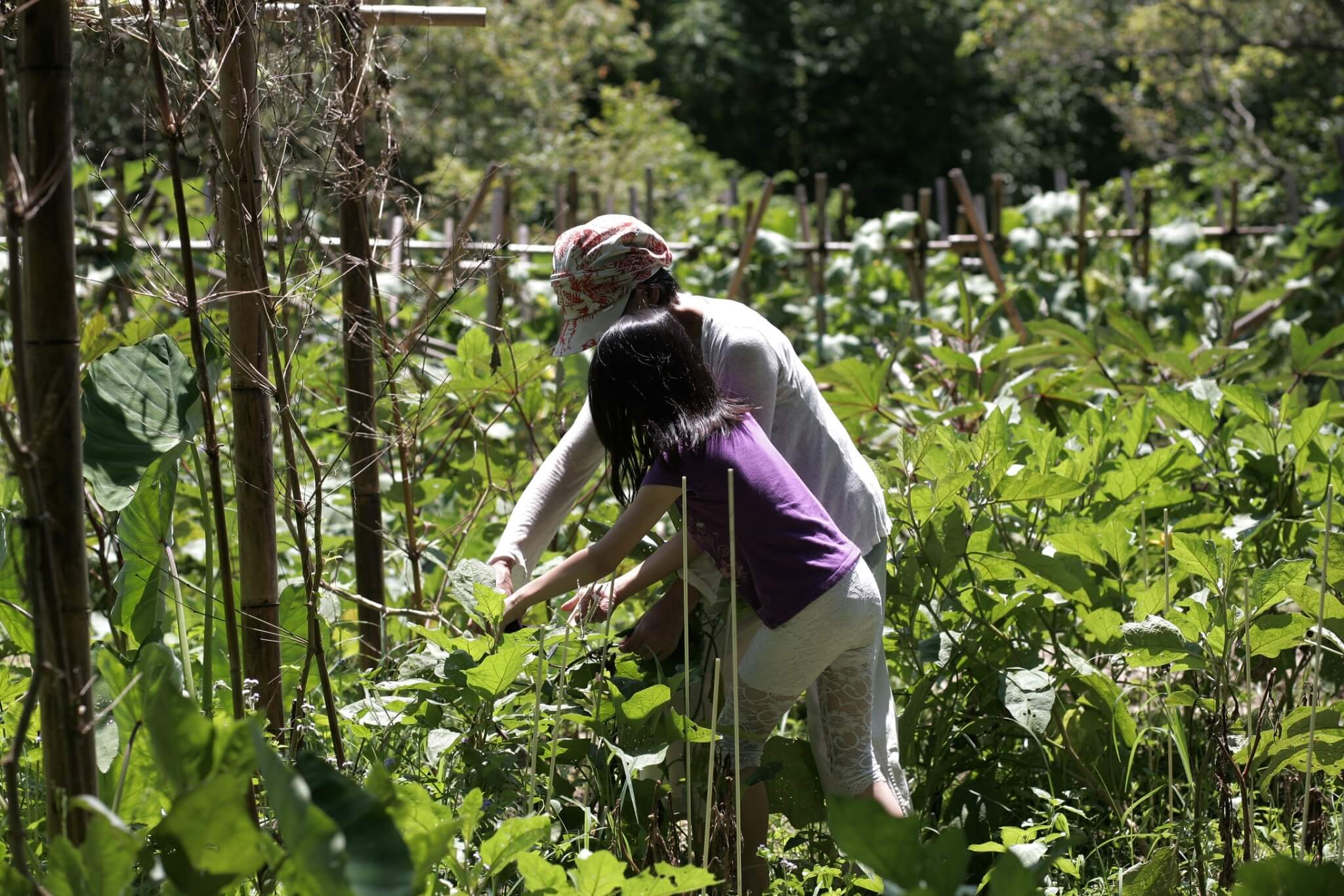 24-gia-dinh-gop-tien-mua-manh-dat-8000-m-vuong-de-tao-nen-ngoi-lang-xanh-mat-gan-gui-voi-thien-nhien-wetrek