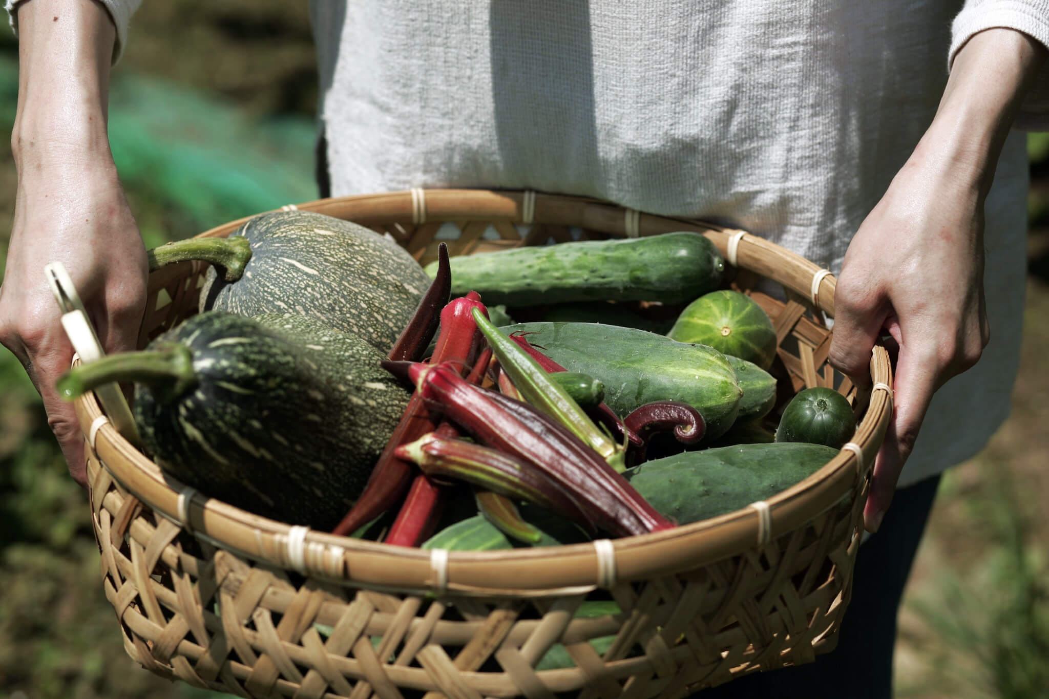 24-gia-dinh-gop-tien-mua-manh-dat-8000-m-vuong-de-tao-nen-ngoi-lang-xanh-mat-gan-gui-voi-thien-nhien-wetrek