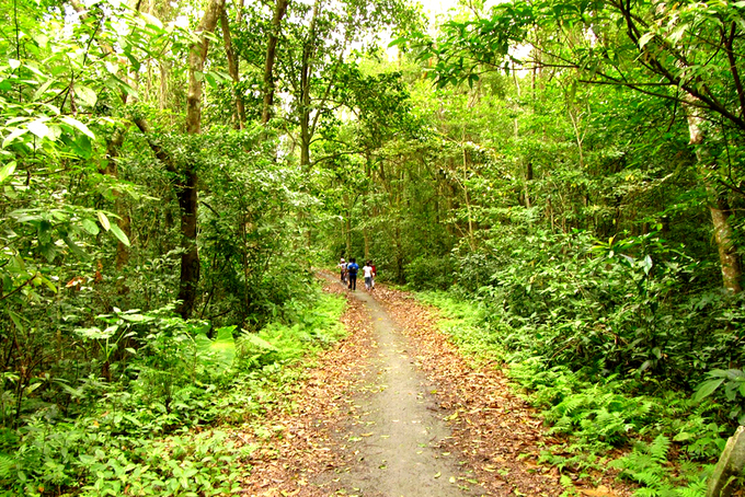 5-cung-duong-trekking-thu-hut-phuot-thu-o-viet-nam-wetrekvn