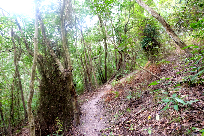 5-cung-duong-trekking-thu-hut-phuot-thu-o-viet-nam-wetrekvn