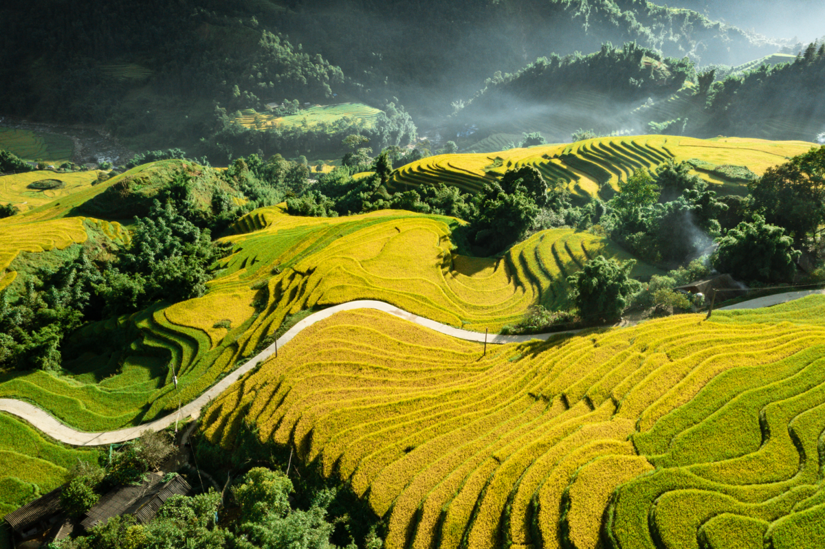 mua-vang-tinh-lang-o-sapa-wetrekvn