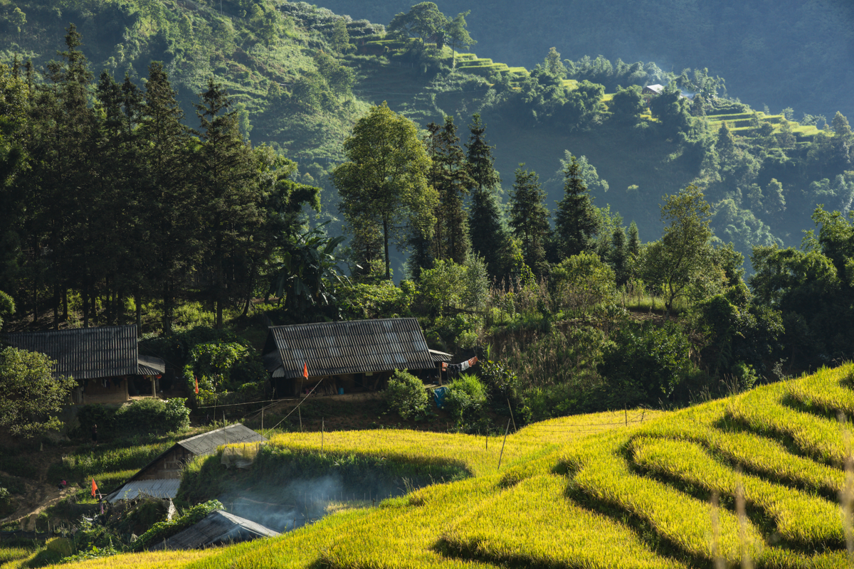 mua-vang-tinh-lang-o-sapa-wetrekvn
