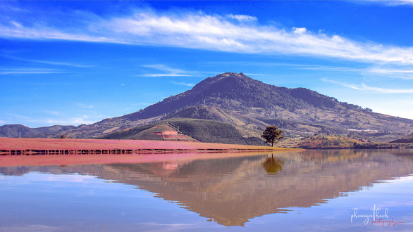 Ngam-doi-co-hong-da-lat-dep-nhu-co-tich-wetrekvn