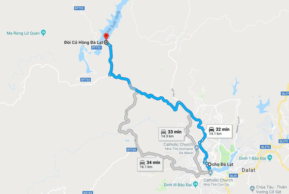 Ngam-doi-co-hong-da-lat-dep-nhu-co-tich-wetrekvn