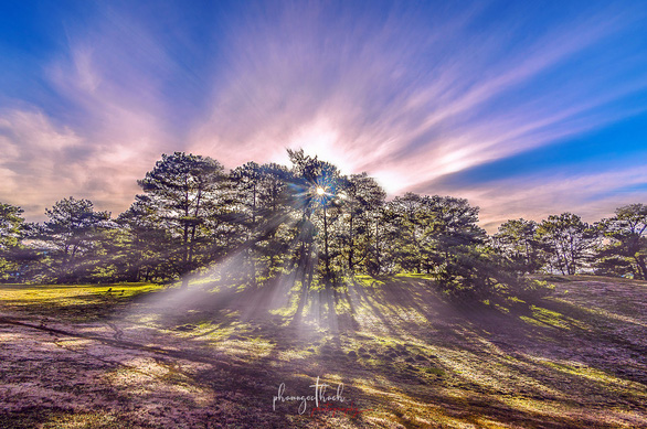 Ngam-doi-co-hong-da-lat-dep-nhu-co-tich-wetrekvn