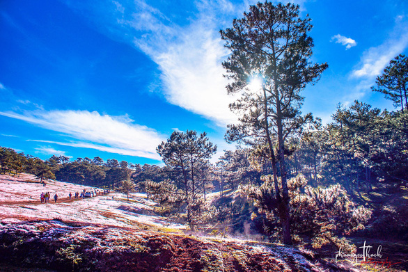 Ngam-doi-co-hong-da-lat-dep-nhu-co-tich-wetrekvn