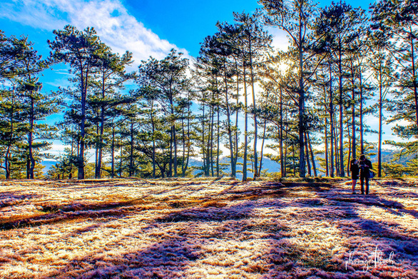 Ngam-doi-co-hong-da-lat-dep-nhu-co-tich-wetrekvn