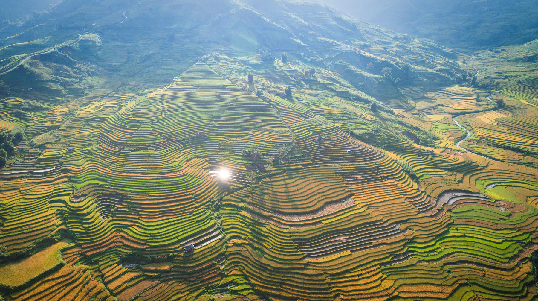 sac-thu-ruc-ro-trong-mua-vang-mu-cang-chai-wetrekvn
