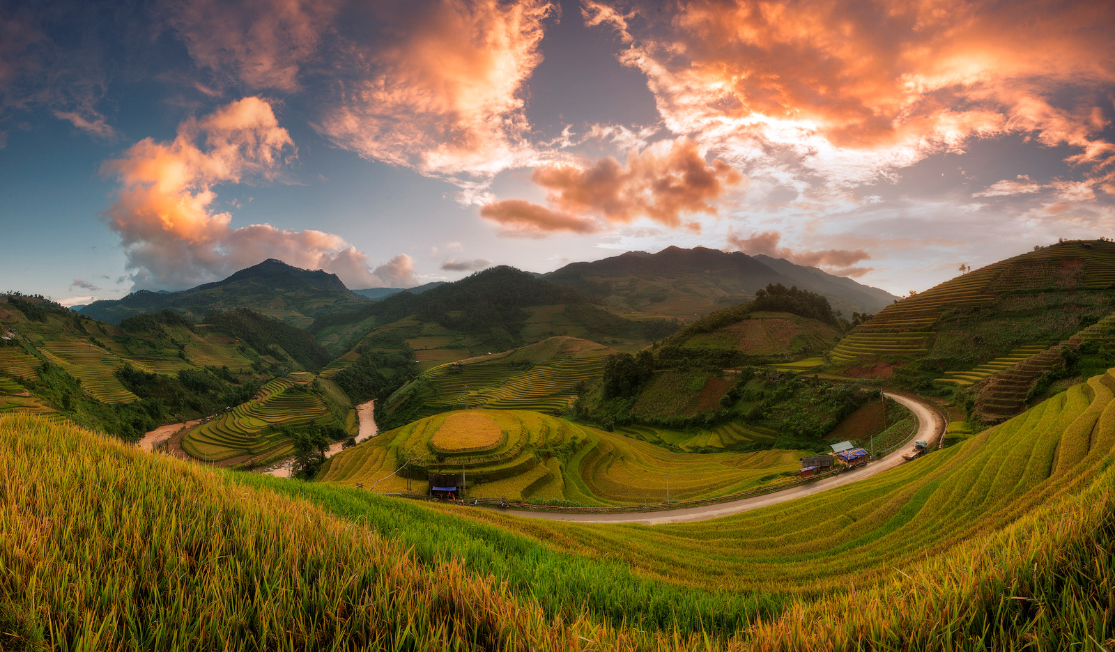 sac-thu-ruc-ro-trong-mua-vang-mu-cang-chai-wetrekvn