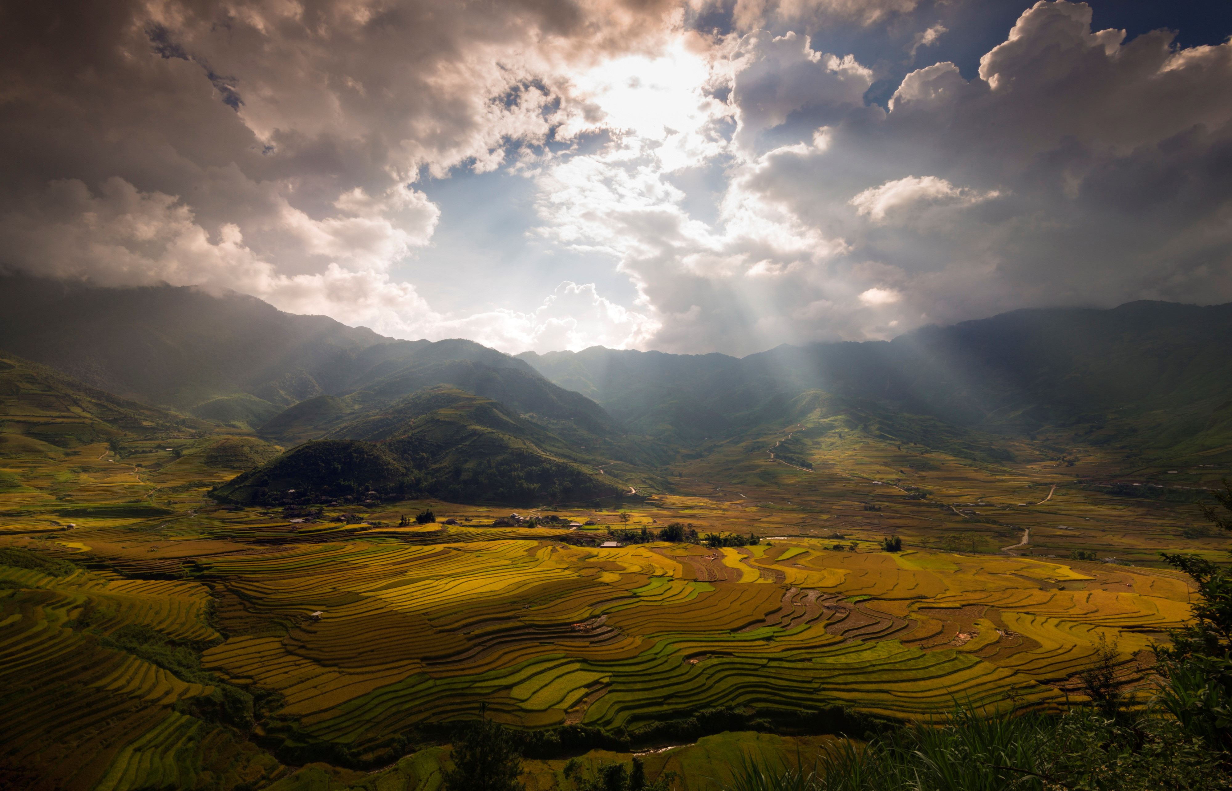 sac-thu-ruc-ro-trong-mua-vang-mu-cang-chai-wetrekvn