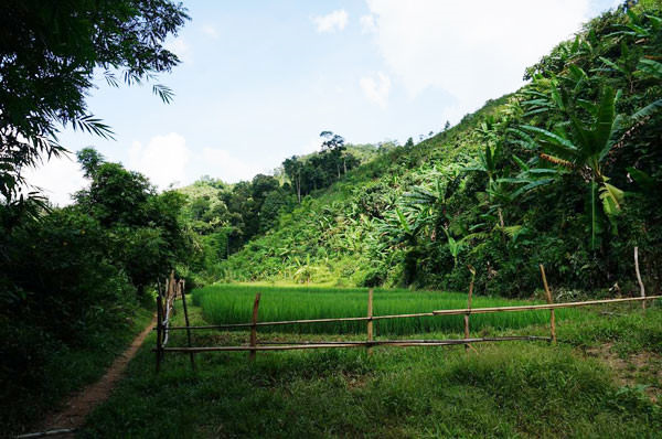 tay-giang-wetrekvn