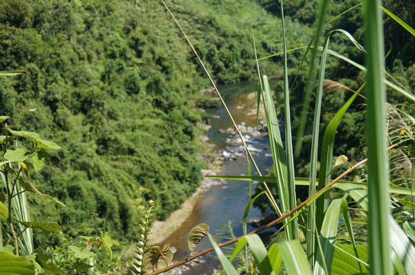 duong-den-aur-wetrekvn