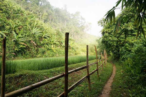 tay-giang-wetrekvn