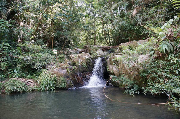 duong-toi-lang-aur-wetrekvn
