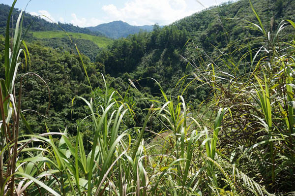 tay-giang-2-wetrekvn