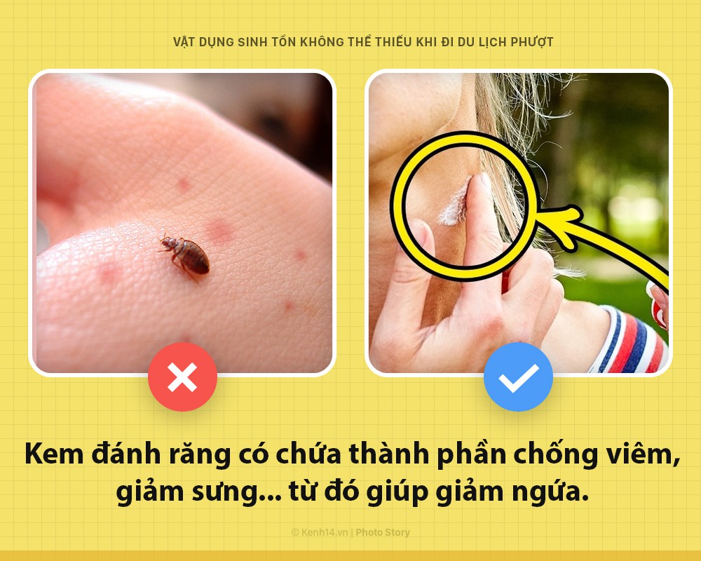 bao-cao-su-tamon-tuong-don-gian-nhung-la-vat-dung-khong-the-thieu-khi-du-lich-phuot-wetrekvn