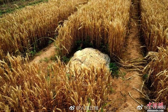 Ngọn núi ''bước một chân là lên tới đỉnh'' gây tranh cãi