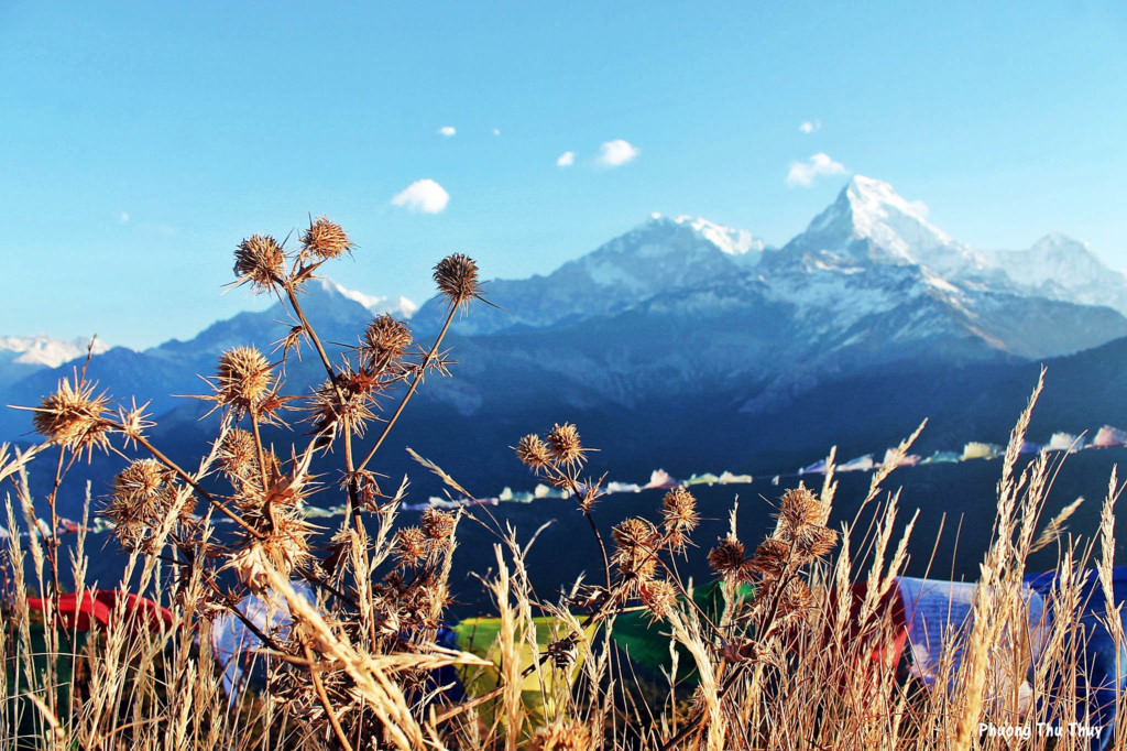 doi-poon-nepal