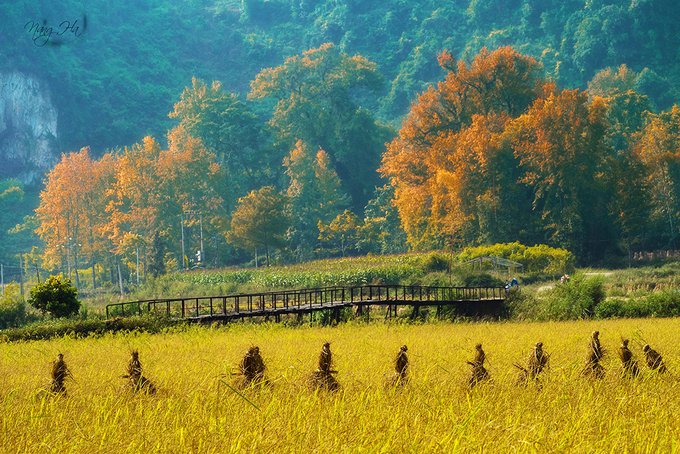 5-tuyet-tinh-coc-duoc-gioi-tre-check-in-nhieu-o-viet-nam-wetrekvn