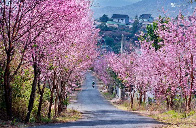 8-diem-den-dep-nhat-viet-nam-de-di-du-lich-thang-1-wetrekvn