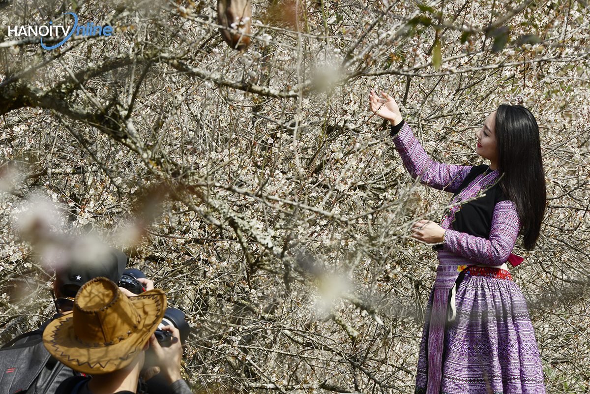 ngo-ngang-truoc-ve-dep-cua-hoa-mo-giua-nui-rung-tay-bac-wetrekvn