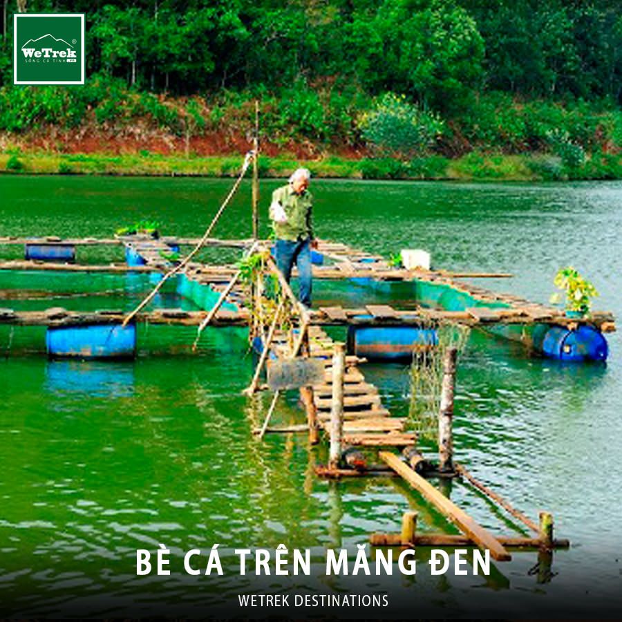 be-ca-mang-den