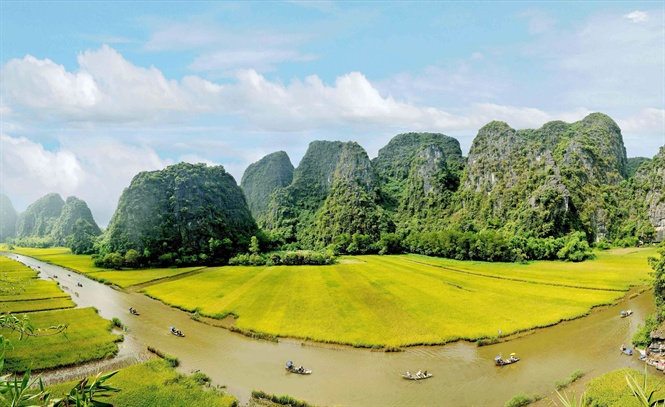 Tam-Coc-mua-lua-chin