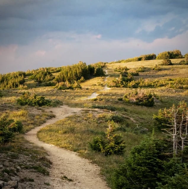 5 mẹo hay khi đi bộ trên đường mòn chưa ai nói với bạn
