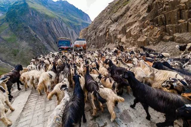 15-cung-duong-vuot-nui-vuot-bien-ngoan-muc-nhat-the-gioi-wetrekvn.jpg