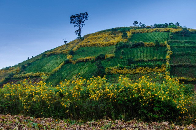 4-con-duong-tho-mong-o-Tay-Nguyen-wetrekvn.jpg