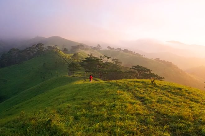4-doi-co-tuyet-voi-nhat-de-cam-trai-tu-bac-vao-nam.jpg