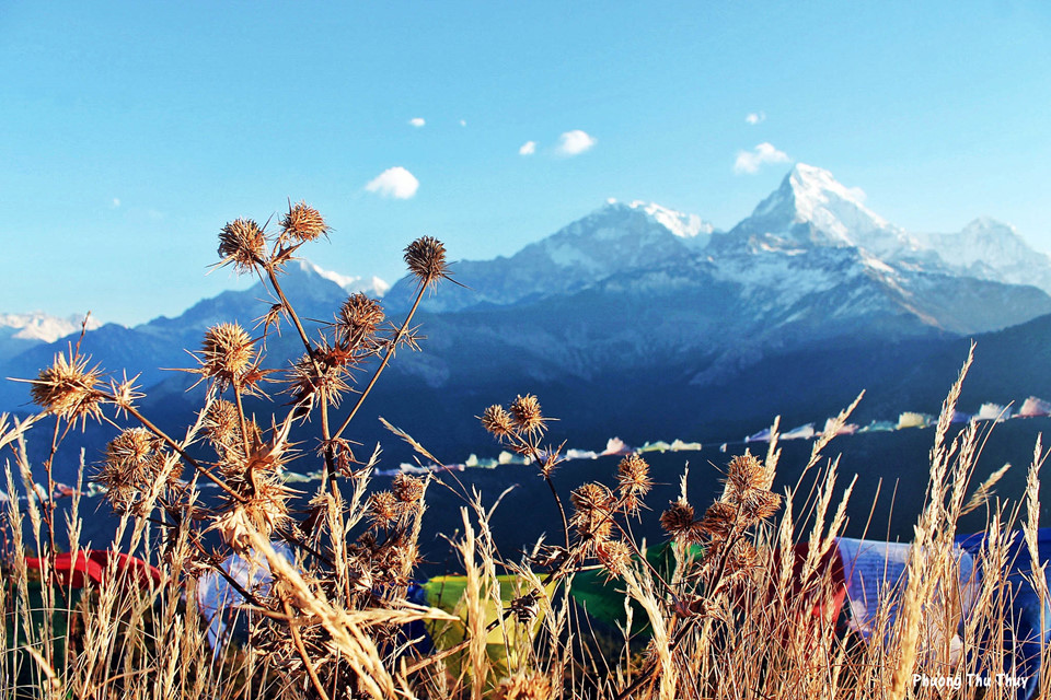 7-dieu-li-thu-ve-cung-trekking-len-doi-Poon-thuoc-day-Himalaya.wetrekvn.jpg