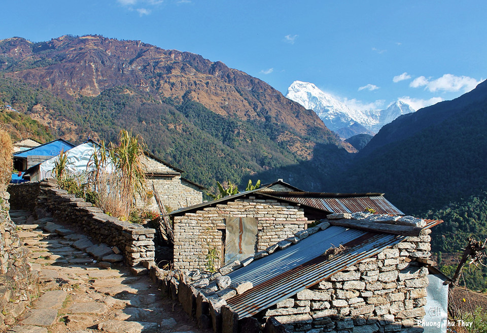 7-dieu-li-thu-ve-cung-trekking-len-doi-Poon-thuoc-day-Himalaya-wetrekvn.jpg