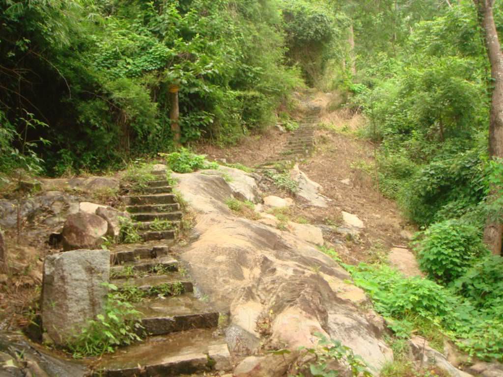 9-ngon-nui-hap-dan-nhat-dinh-ban-phai-hiking-1-lan-wetrekvn.jpg