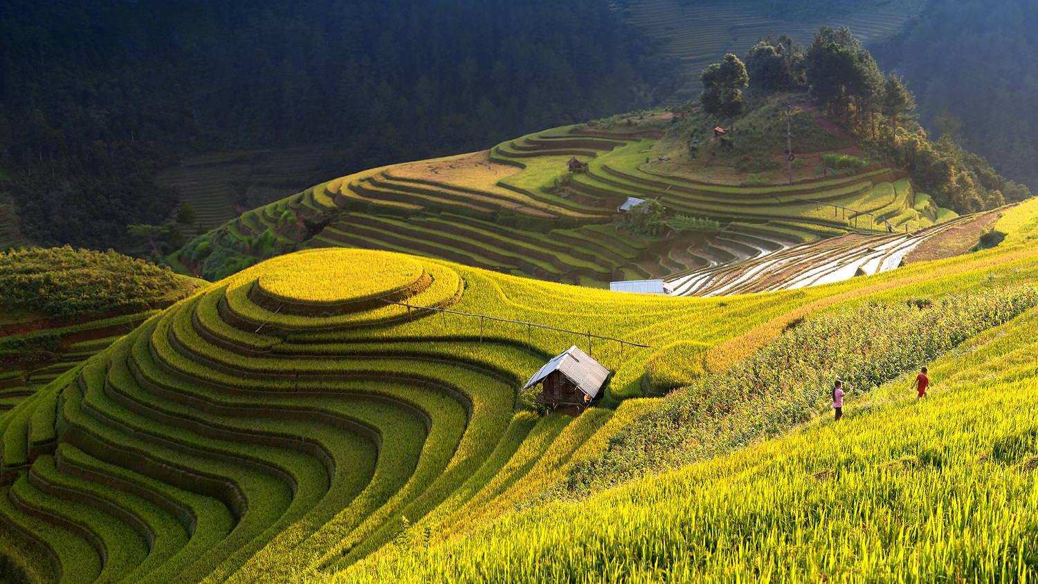 Cung-duong-xuyen-Dong-Tay-Bac-dep-nhat-Viet-Nam.jpg