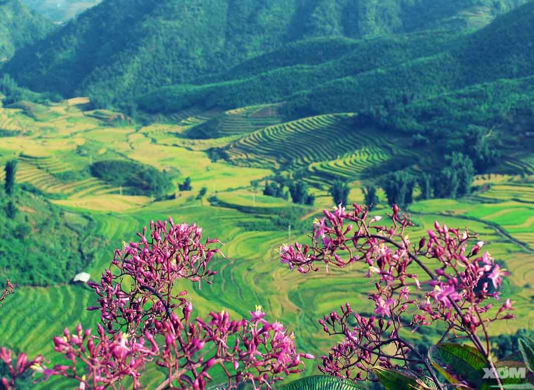 Cung-duong-xuyen-Dong-Tay-Bac-dep-nhat-Viet-Nam.jpg