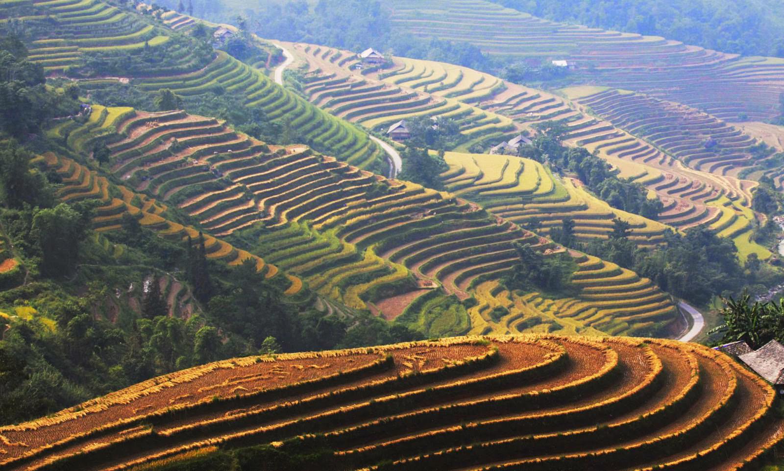 Cung-duong-xuyen-Dong-Tay-Bac-dep-nhat-Viet-Nam7.jpg