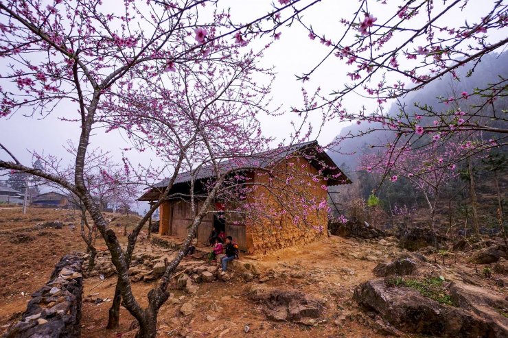 Den-Ha-Giang-dip-dau-xuan-wetrekvn