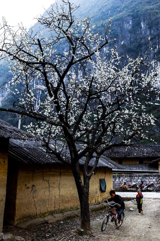 Den-Ha-Giang-dip-dau-xuan-wetrekvn