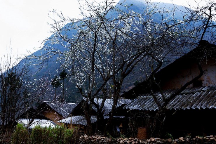 Den-Ha-Giang-dip-dau-xuan-wetrekvn