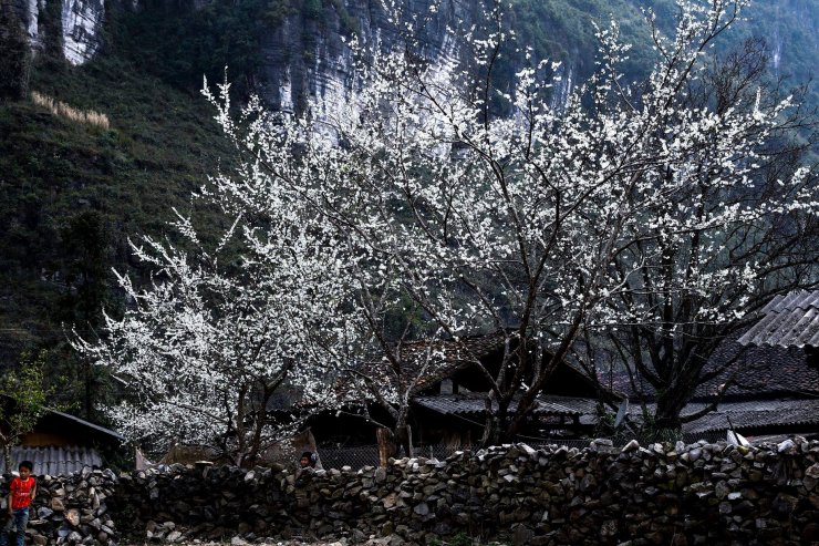 Den-Ha-Giang-dip-dau-xuan-wetrekvn